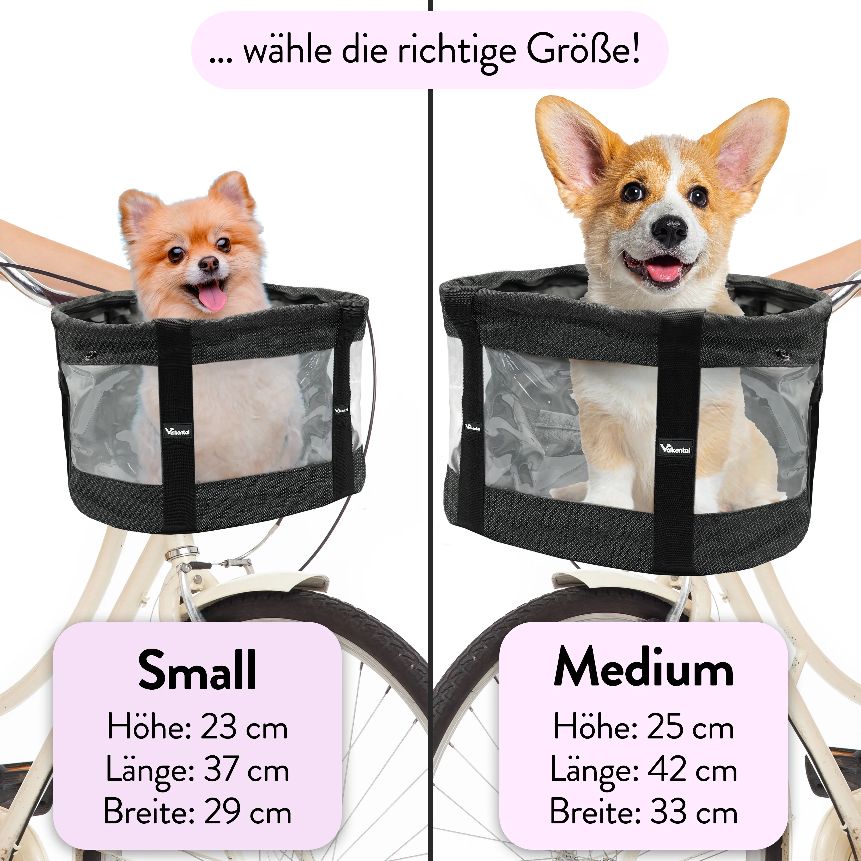 Fahrradkorb für Hunde - Image 12