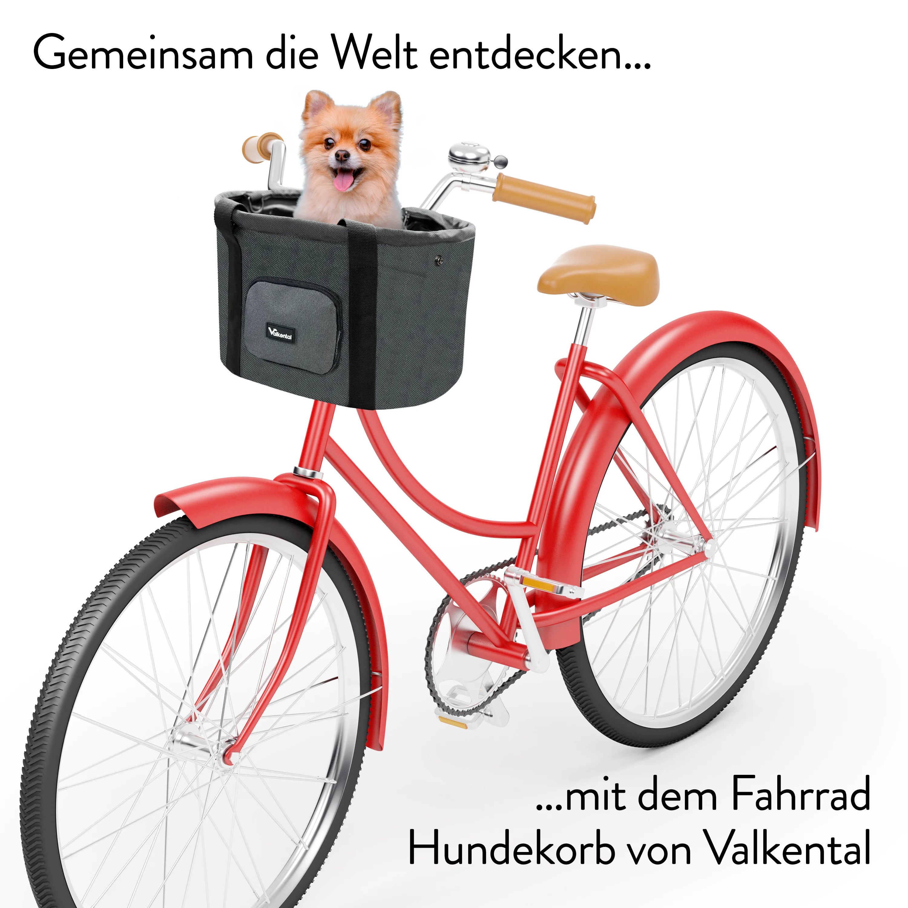 Fahrradkorb für Hunde - Image 20